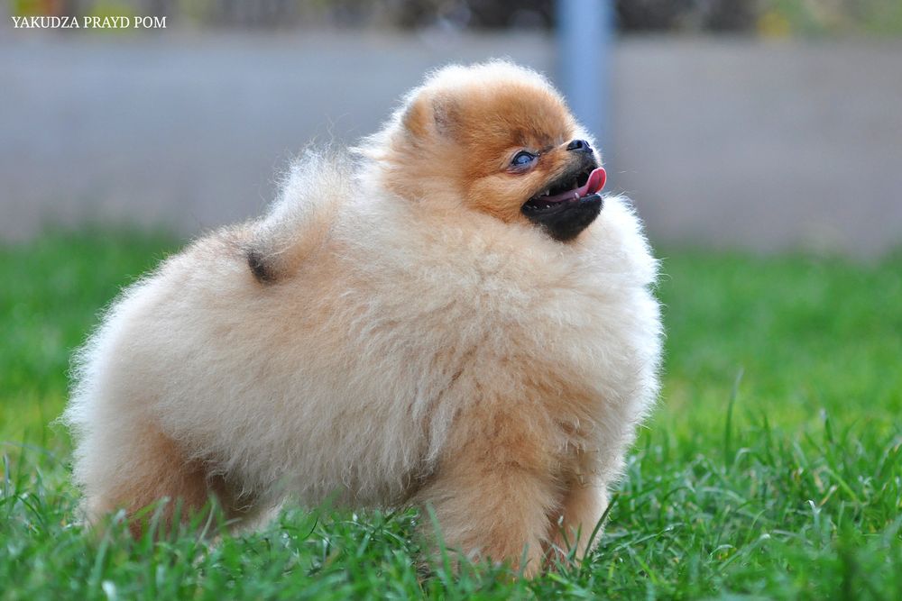 Незабутні очі цього малюка