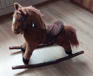 Konik na biegunach