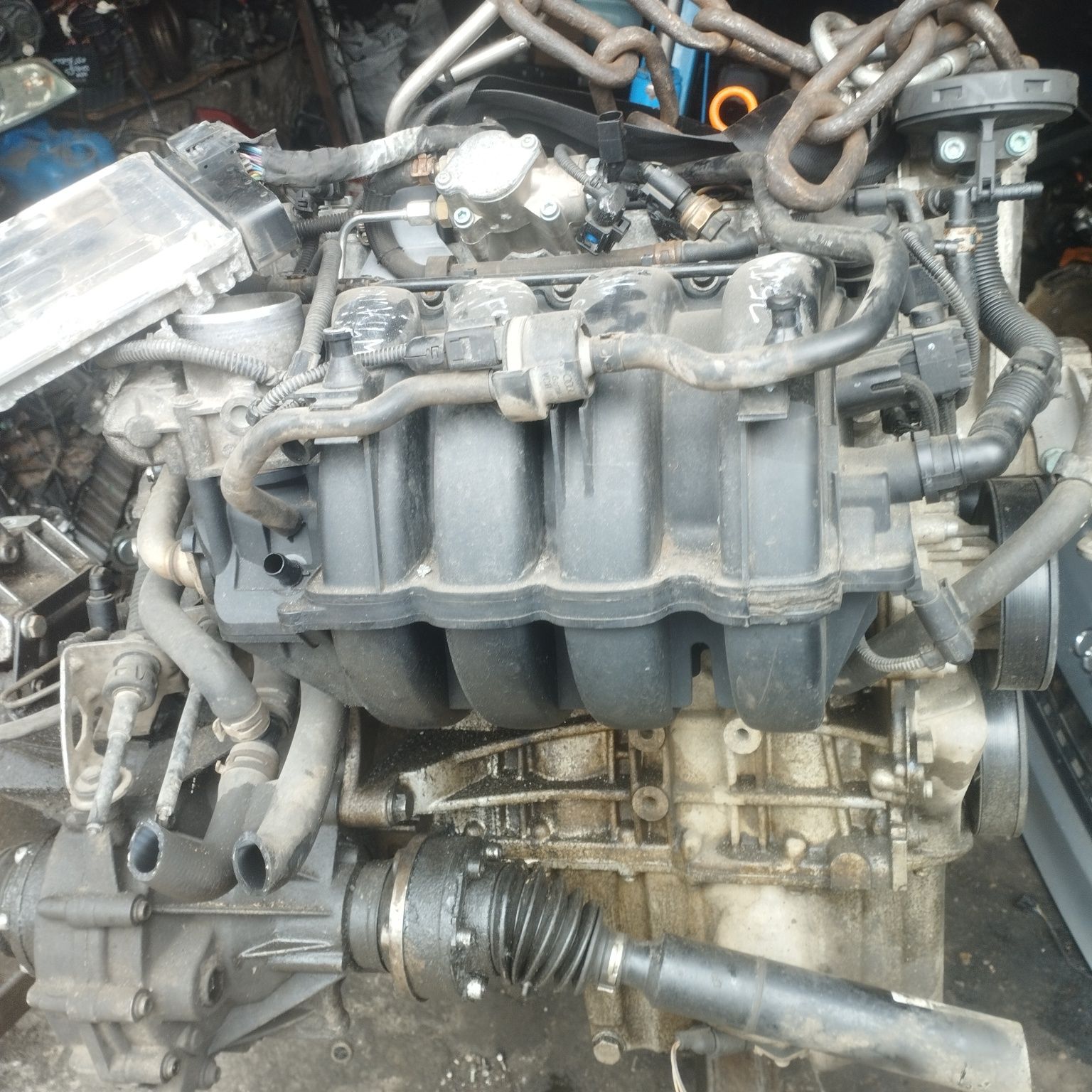 Volkswagen Golf V 1.6 fsi kompletny silnik BLF 16bar gwarancja