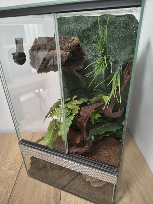 Terrarium dla gada