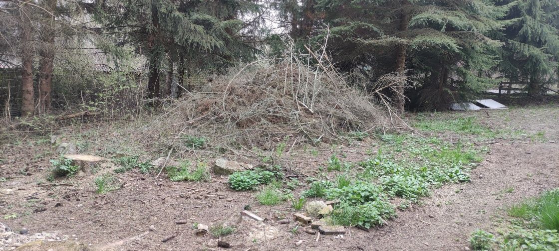 Gałęzie drewno opal gałęziówka