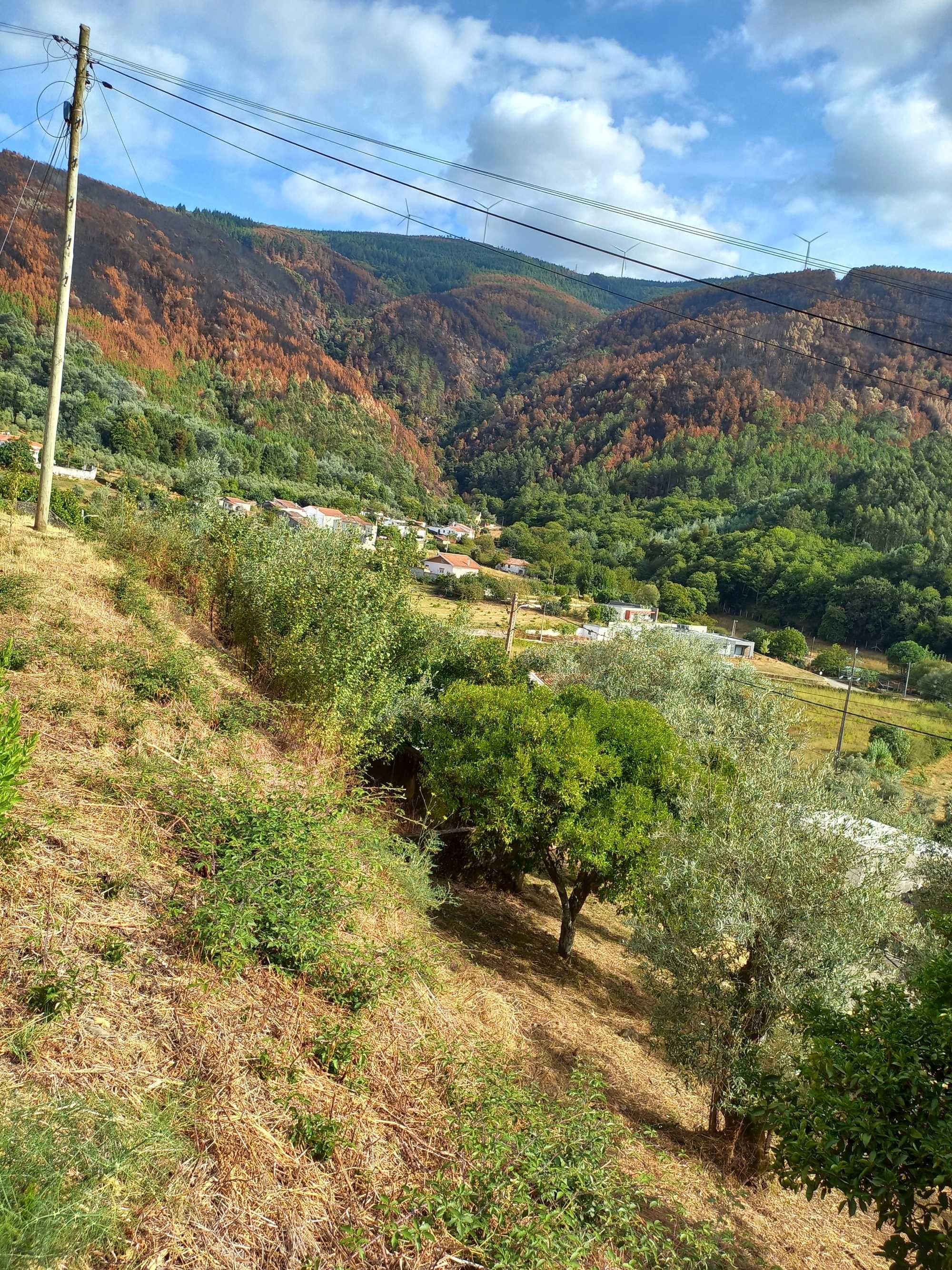 TERRENO Urbano com viabilidade para construção
