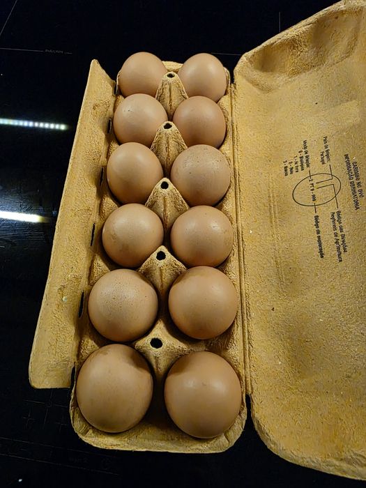 Ovos caseiros - galinhas criadas ao ar livre