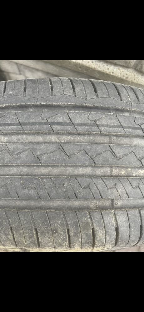 Opona letnia Dębica 205/55 R16