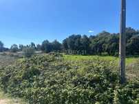 Terreno Urbano para Construção na Quinta do Quadrado em Alhos Vedros