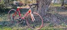 Rower szosowy Focus Cayo Evo