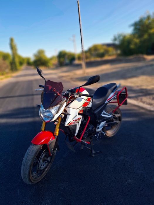Viper-v250 NT