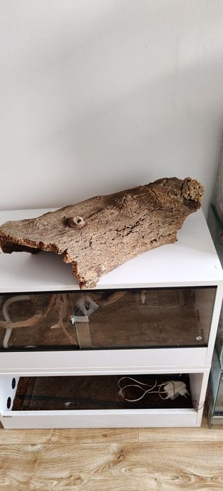 Duża tuba korkowa do terrarium XXL Gliwice