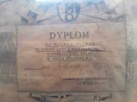 Mo milicja 1946 dyplom KGMO RP nie PRL ps. Witold. Oryginalny for. A4