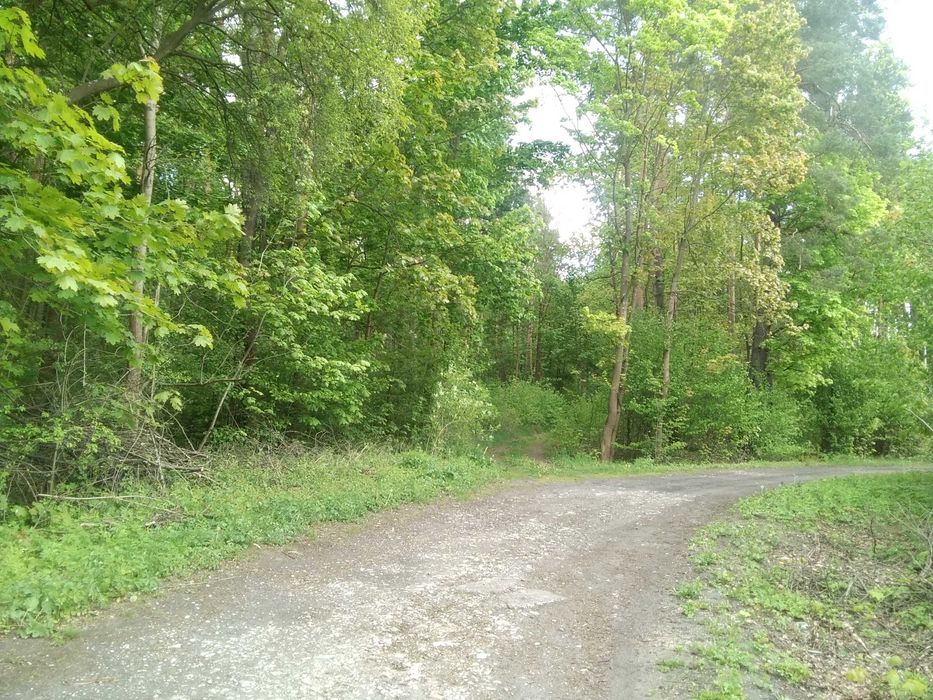 Pokój Do Wynajęcia - Blisko Lasu- 25 min. jazdy od centrum Radomia