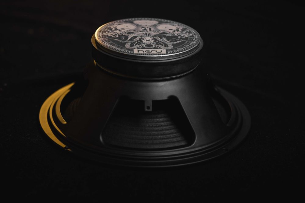 Głośnik 12" HESU Demon 8 ohm nowy