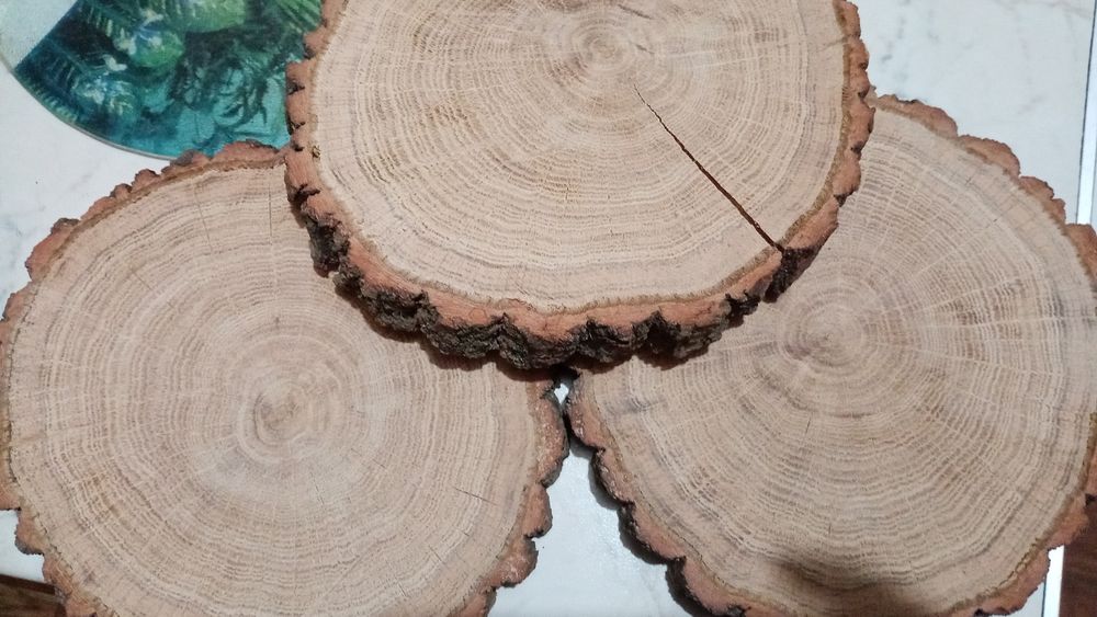 Слэб, торцевой срез дерева, спил, панно, декор из дерева