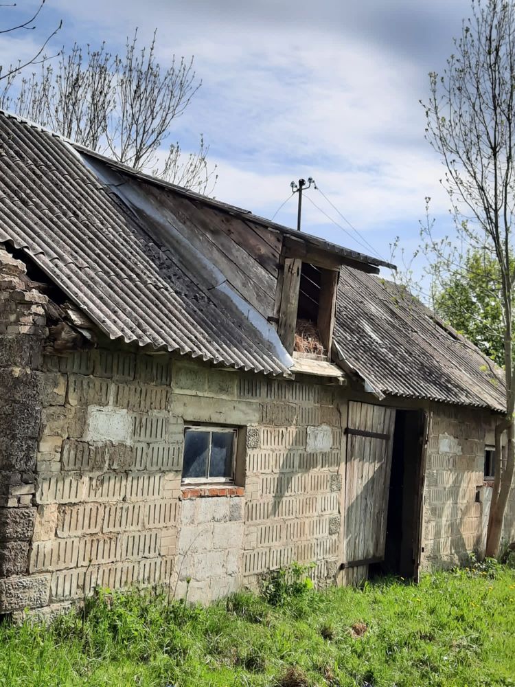 Stary dom na podlaskiej wsi z działką 0,59 hektara