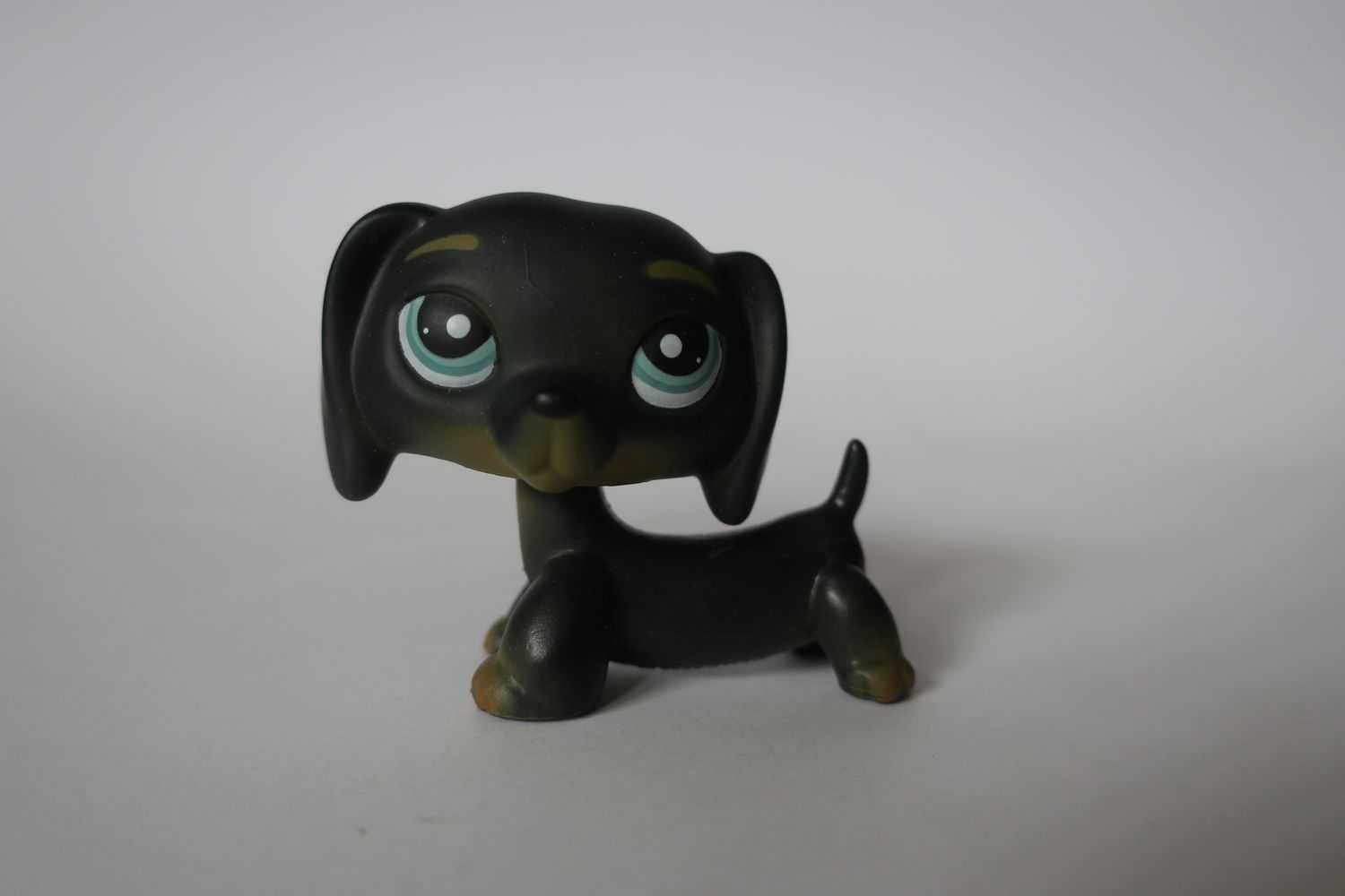 Czarny jamnik Littlest Pet Shop