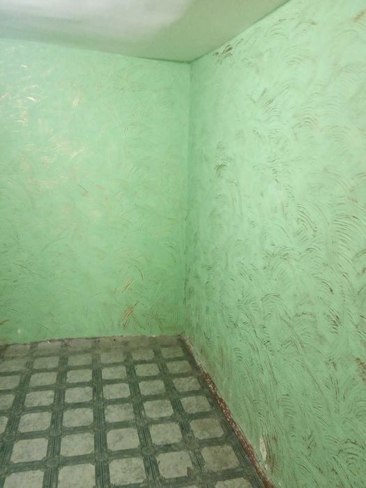 Будинок с.  Камчик Одесская область