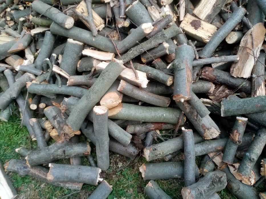 Oddam drewno opalowe