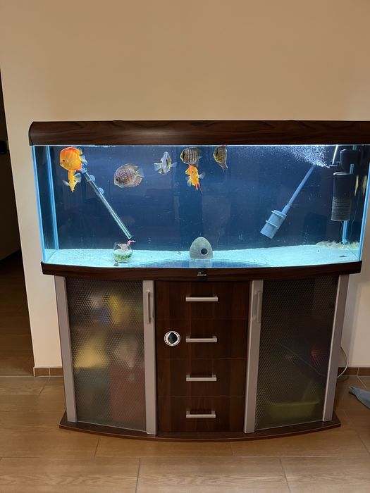 Akwarium 450l z szafką