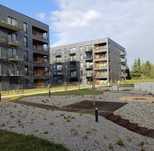 Apartament na wynajem