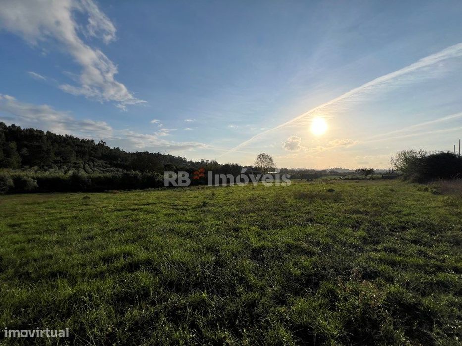 3 x Terrenos Rústicos - Tomar