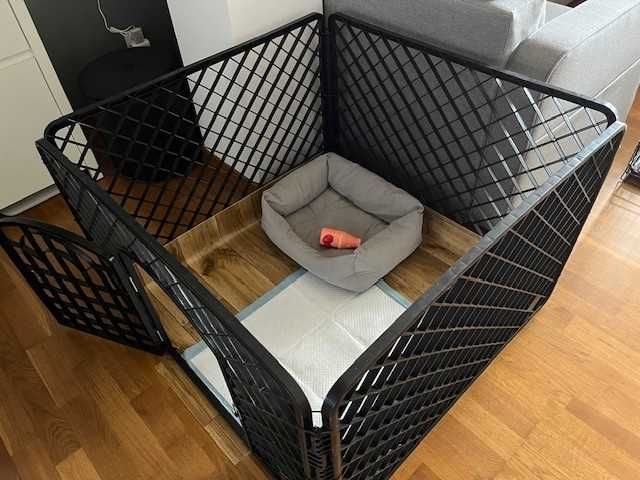 Kojec dla Psa klatka zamykana dla zwierząt drzwiczki 90x90x60 NOWA