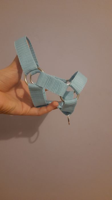 niebieski kantar dla hobby horse na zamówienie