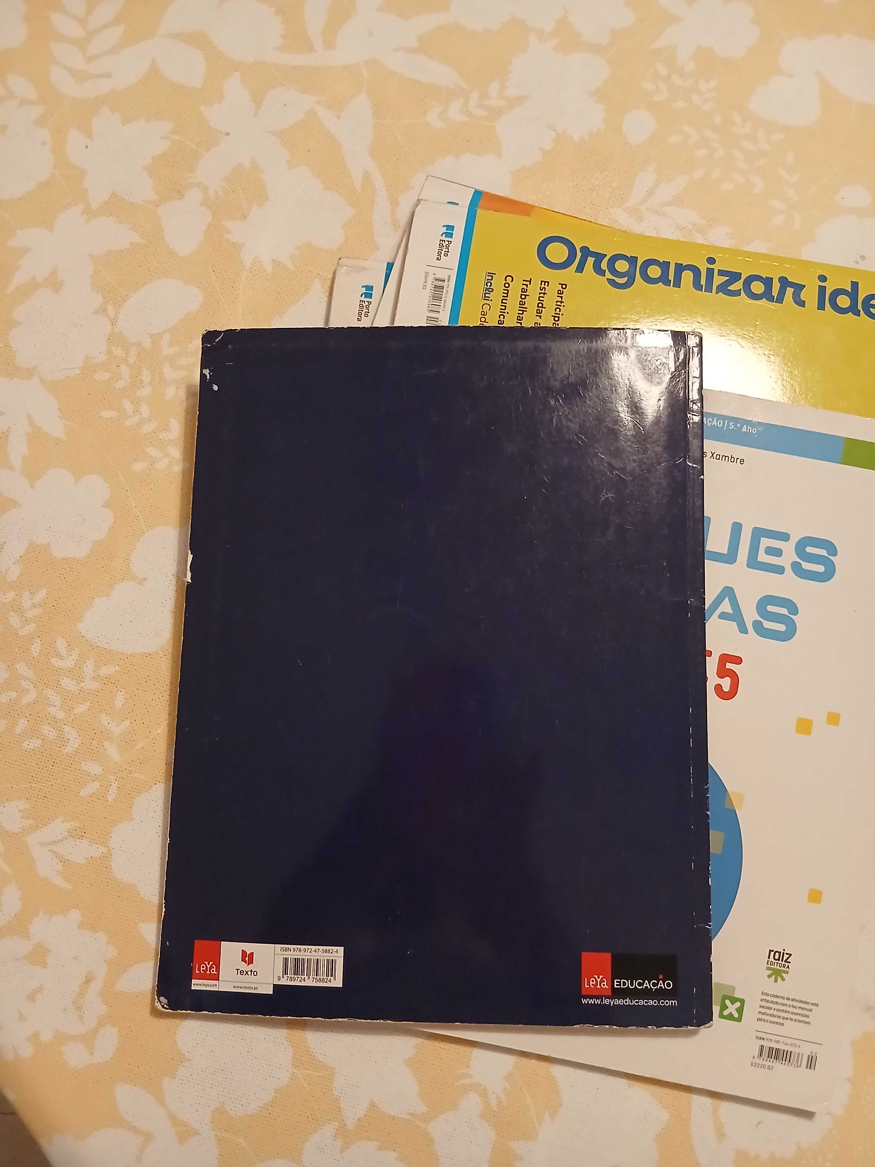 Caderno de atividades 100% Musica 5.ano