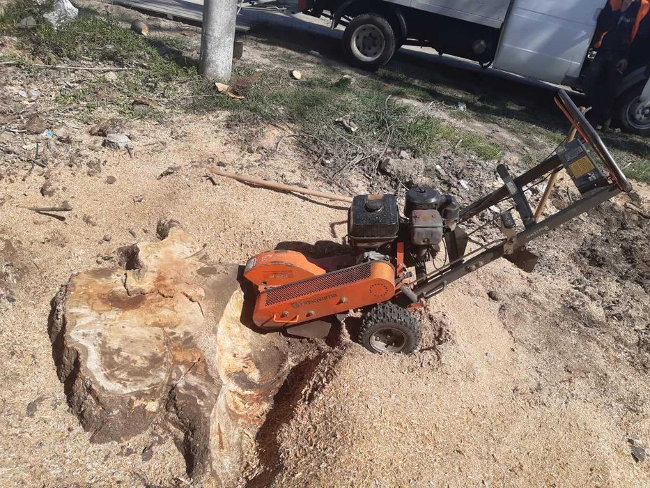 Добросовестная корчевка,удаление пней фрезой.Выкорчевка порослей