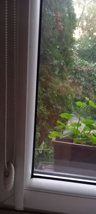 Roleta okienna kasetowa dzień noc 75/130cm