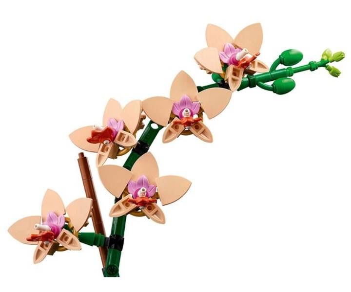 Конструктор LEGO Expert Міні Орхідея 10343