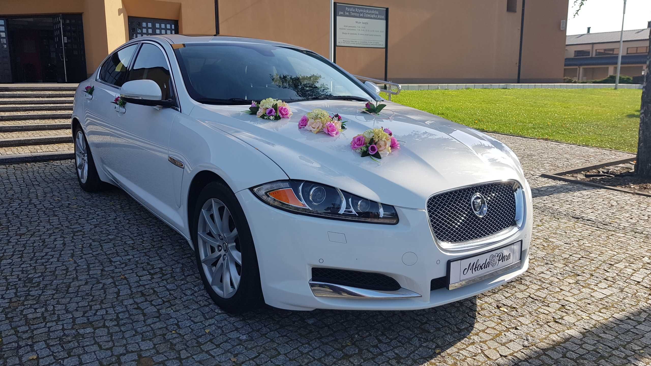 Auto Samochód do Ślubu JAGUAR XF WwaMińskGarwolinOtwockLegionowo