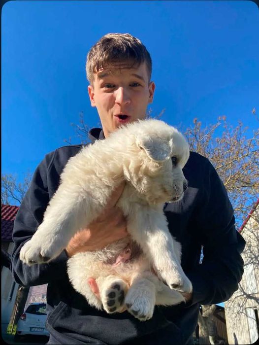 Korepetycje z matematyki