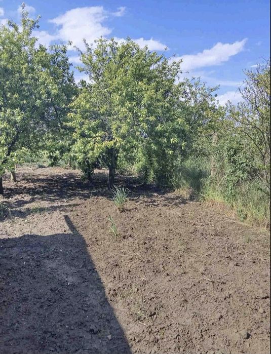 Продам дачу на Телегульском лимане