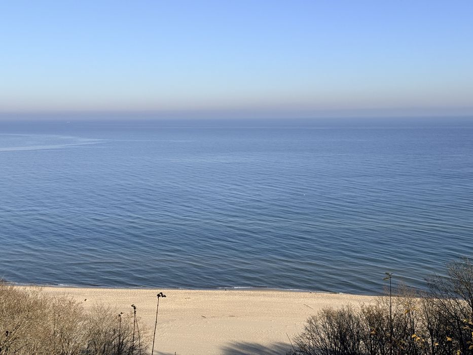 Dzialka leśna nad morzem Rozewie