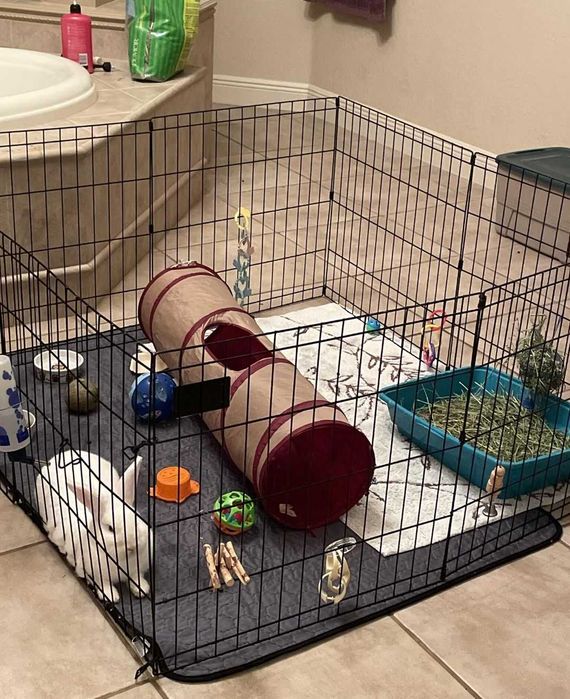 Вольер клетка 180х60х61 8 секций с дверкой манеж для собак щенков‼️