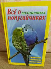 Все о волнистых попугайчиках