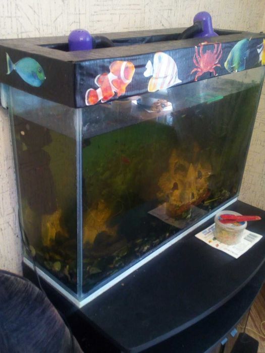 Акваріум до рибок 100л з тумбою