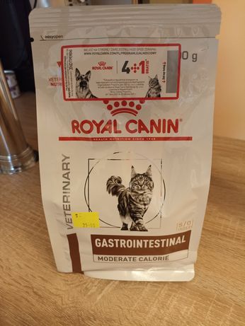 Sucha karma Royal Canin Gastro Intestinal 400 g dla kota