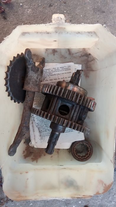 муравей инвалидка  кпп