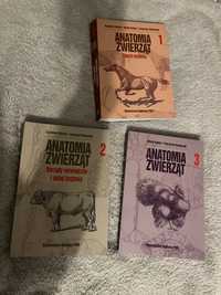 Zestaw książek anatomia zwierząt