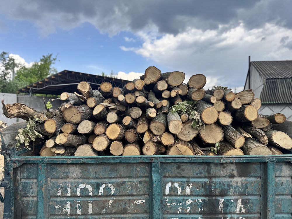 Продам дрова твердих порід з доставкою