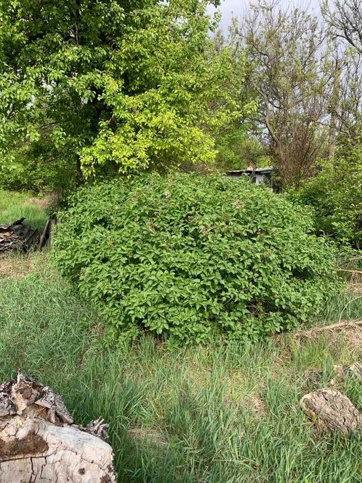 Продам срочно землю