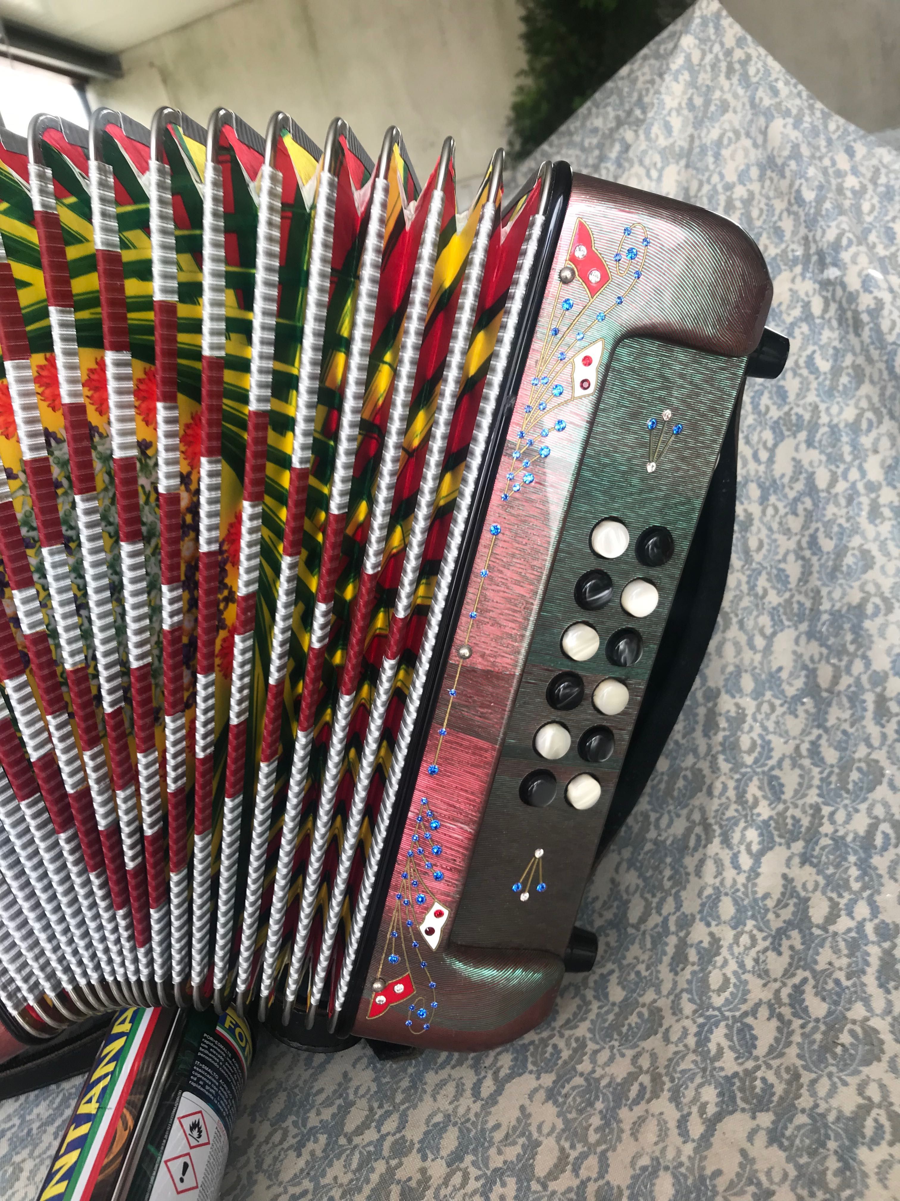 Vendo concertina semi nova da mesma fábrica da Organola em SOL DO FA