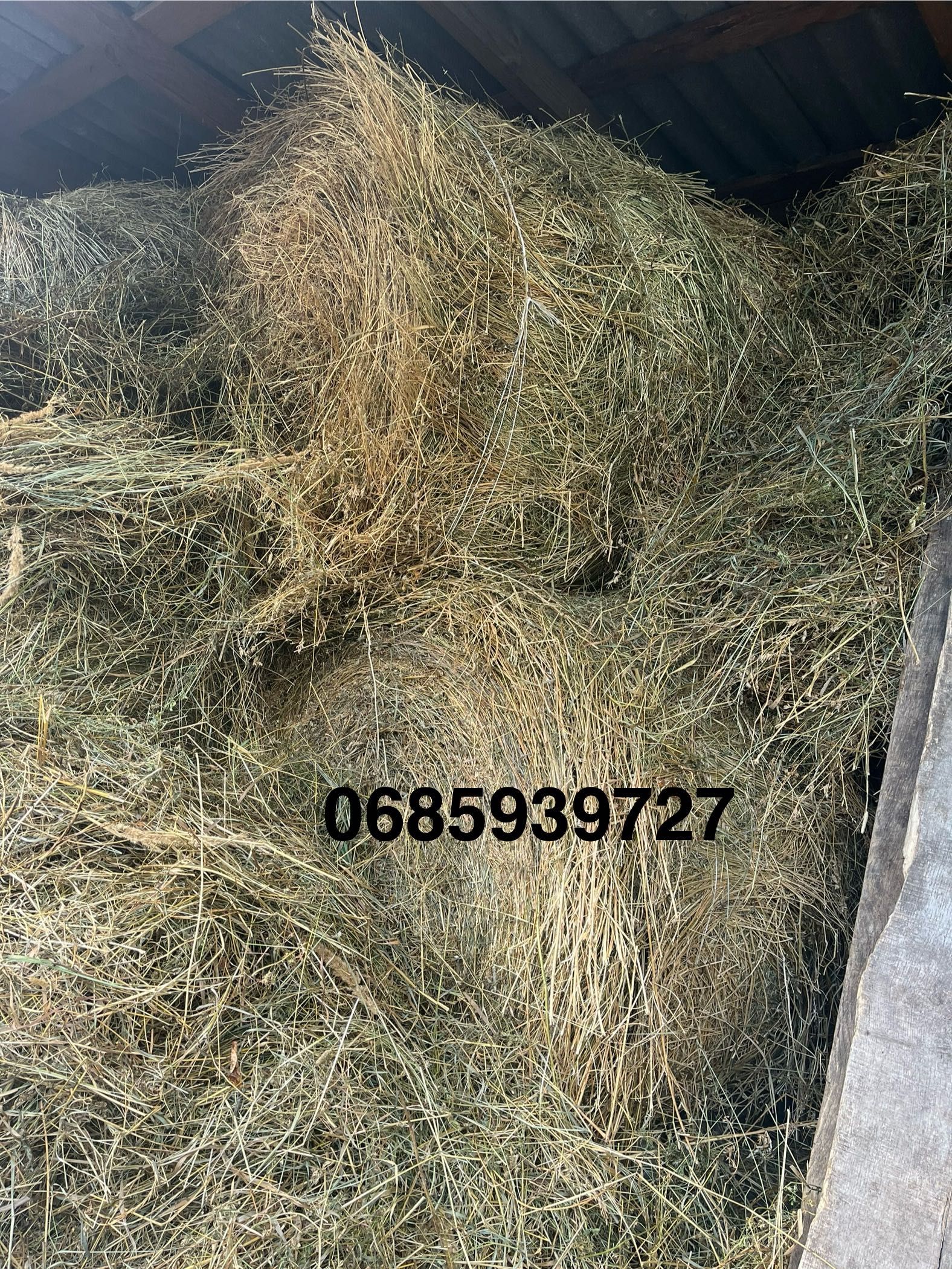 Продам сіно в бухті .