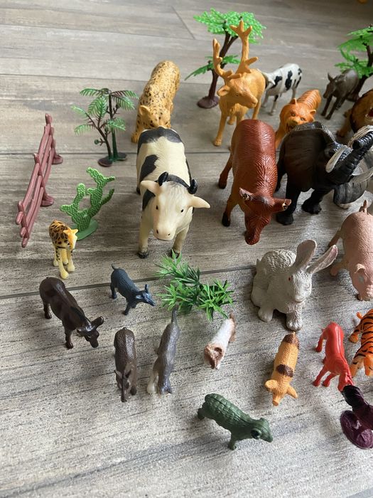 Тварини різного розміру