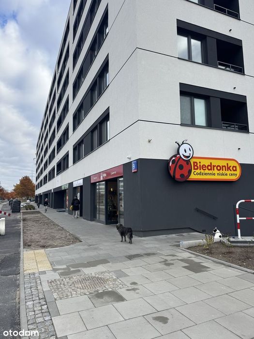 Bezpośrednio przy Biedronce