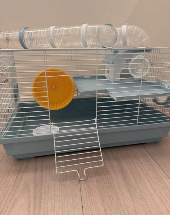 Casota Hámster, como nova