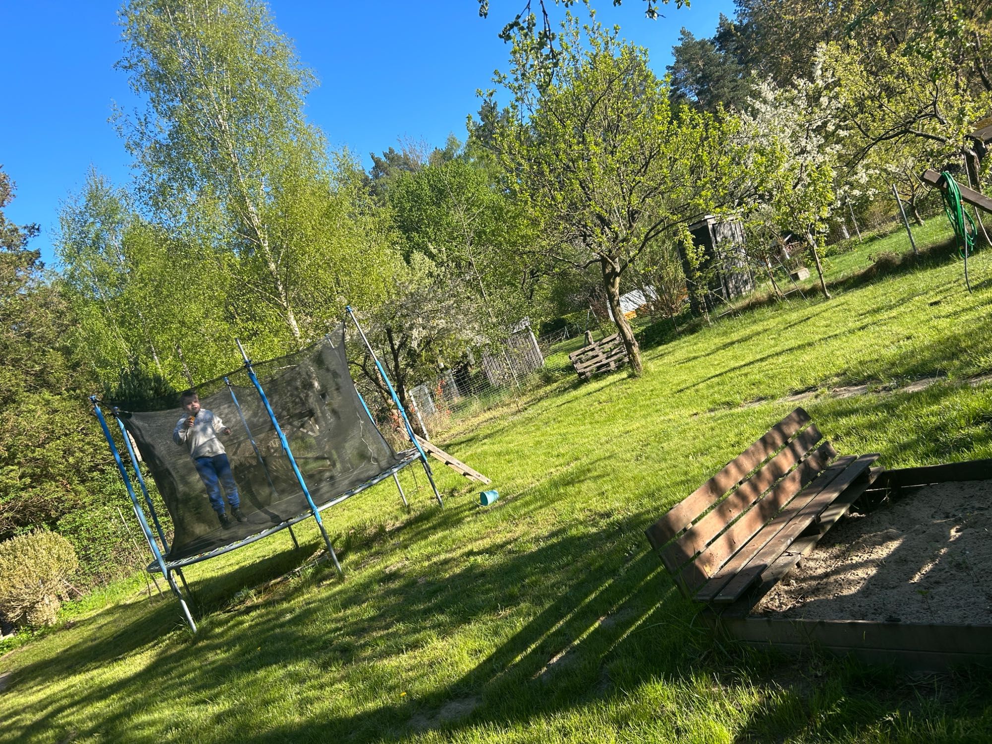 Działka Wójtowa Rola