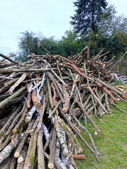 Drewno opałowe opał kominkowe kominek liściaste iglaste Pellet A1