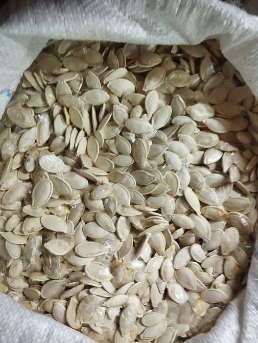 Гарбузова олія насіння гарбуза