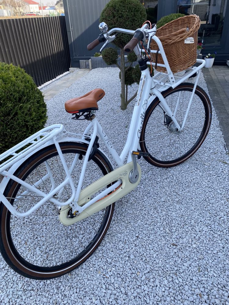 Rower gazelle miss grace